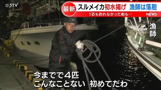 スルメイカ、今年も記録的な不漁…