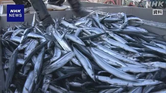 水産庁「あかん秋刀魚が獲れへん…せや！船をでっかくすればもっと獲れるやろ！」