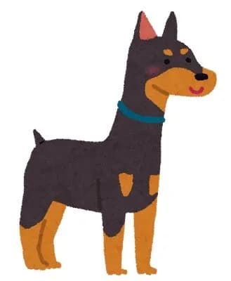 大型犬ドーベルマン(50kg)、市街を逃走wwwww