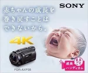 【画像】野獣先輩、公園の遊具だった 	