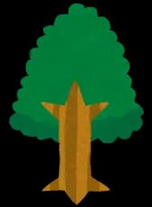 ワイのじっじが庭に植えた樹木クイズ