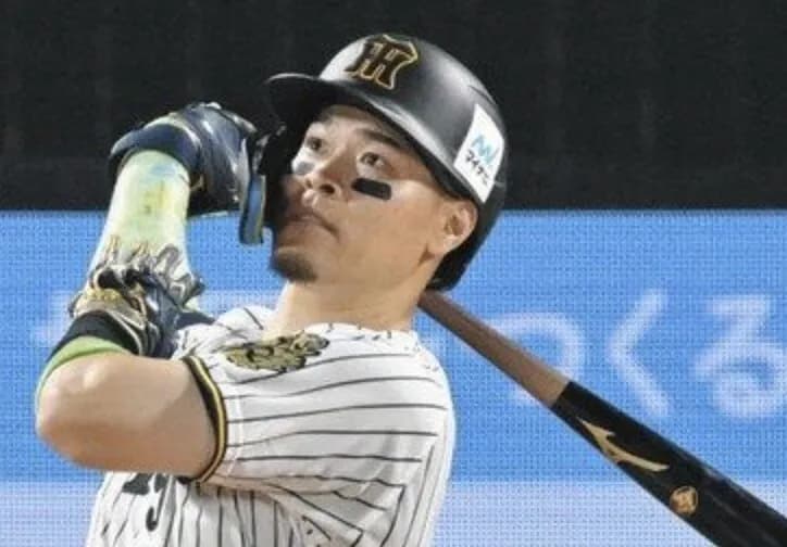 佐藤輝明 打率.289(セ3位) 31本(セ1位)　76打点(セ1位)　長打率.607(セ1位) OPS.967(セ1位)