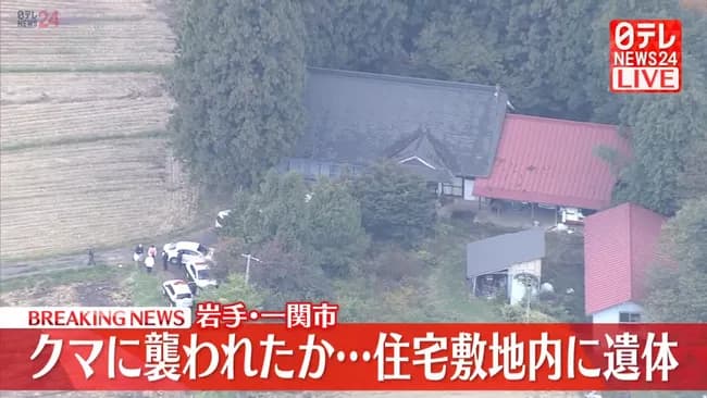 【悲報】クマさん🐻、今日も人間をぶっ殺してしまう