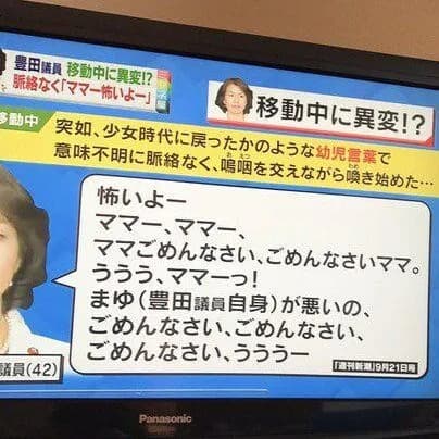 【朗報】豊田真由子ちゃん「怖いよー、ママごめんなさい。まゆが悪いの」