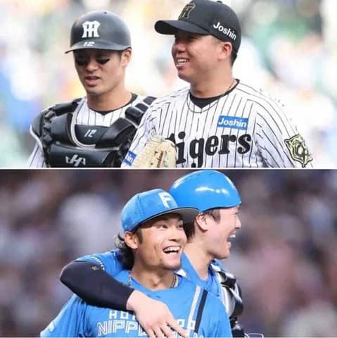 スポニチ制定「最優秀バッテリー賞」セは阪神・村上頌樹―坂本誠志郎、パは日本ハム・伊藤大海―伏見寅威