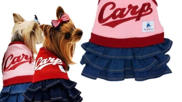 カープ選手のペット事情！大瀬良＆床田はグローブに愛犬の刺繡入り！【鯉戦士のペット自慢】