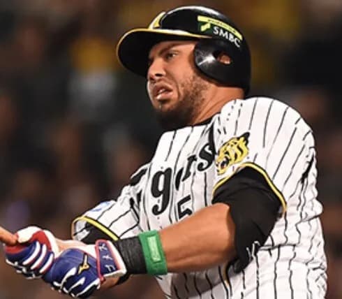 2025年の阪神ほど外国人がハズレの年はないやろな？