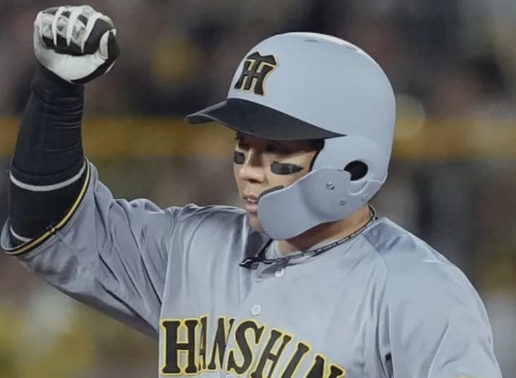 今日の戦犯を梅野隆太郎に挙げてる奴いるけど今日の梅野は何も悪くないだろ