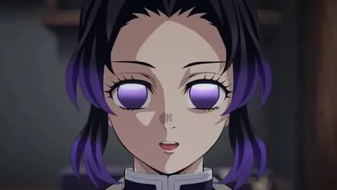 胡蝶しのぶ「柱最弱です。無限城で最初に死にます。姉と妹の方が可愛いです。」←こいつが人気な理由