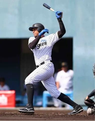 阪神・ヘルナンデス　PS秘密兵器に名乗り「プレーオフに呼ばれるように」　直近4戦で打率5割3打点