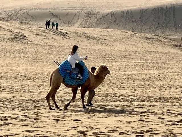 鳥取に砂漠がある理由って何なんや？