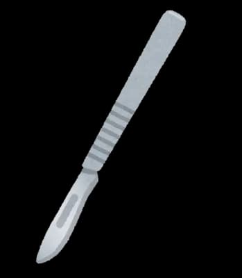 【´･(ｪ)･｀)ﾎﾞｸｼﾞｬﾅｲﾉﾆ…】秋田・大仙市で93歳の男性が死亡　司法解剖の結果、クマによる被害ではなく殺人事件として捜査