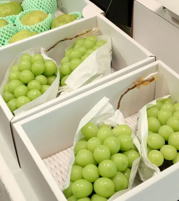 シャインマスカット栽培権、農水省がＮＺへ供与検討　小泉氏に山梨県抗議