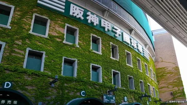 甲子園が甲子園じゃなきゃ無理な理由知っとるか？？