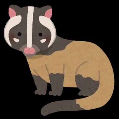 【画像】ハクビシン捕まえたぞ！