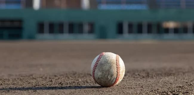 くふうハヤテ（20勝41敗）とオイシックス（25勝39敗）が弱すぎ「2軍成績が当てにならない」と言われる