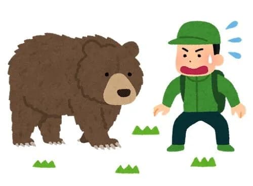 ヒグマに襲われてる人がいたら逃げるしかないんか？