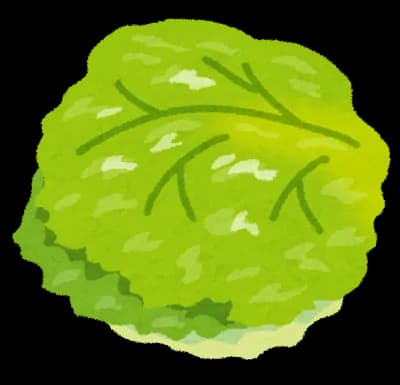 レタス「美味いです。安くて栄養もあります」←こいつの欠点