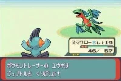ポケモンルビサファの話したい人「橋の下のジュプトルがさァ！トラウマでさァ！勝てなくてさァ！」←これ