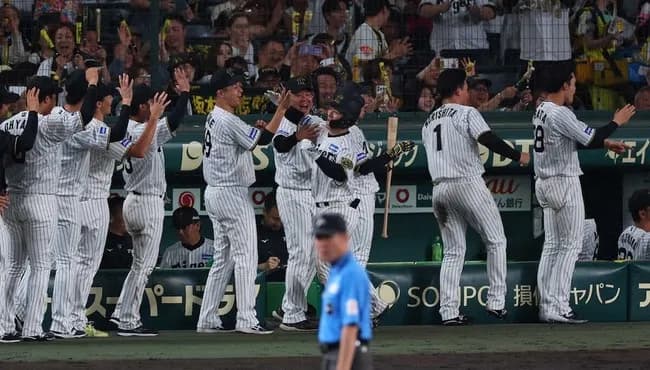 阪神・坂本　球団捕手では2年ぶり、自身4年ぶりアーチ「ちゃんと書いてあげて」と懇願したのは