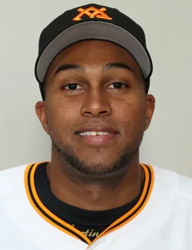 ライデル・マルティネス(巨)20試合19.2イニング防御率0.00 セーブ16