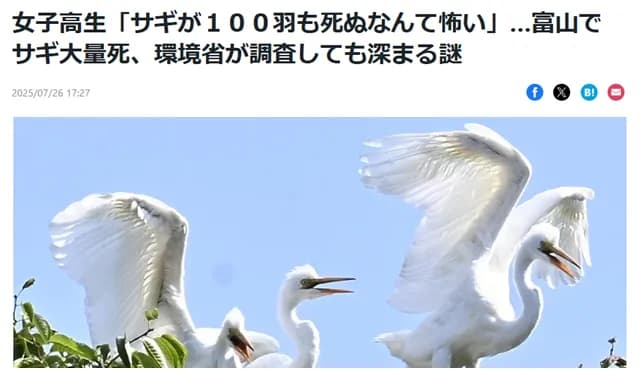 読売新聞「うーん…『サギ大量死』だけじゃ見出しとして弱いなぁ…せや！」