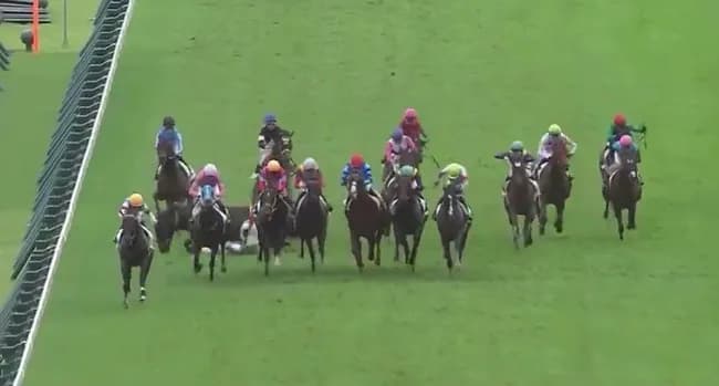 【悲報】中央競馬で乱闘ｗｗｗｗｗ