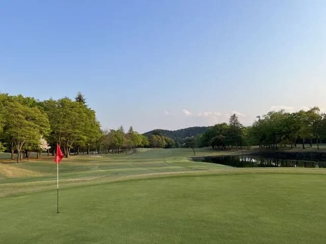 多分一生面白さわからんやろなってスポーツ