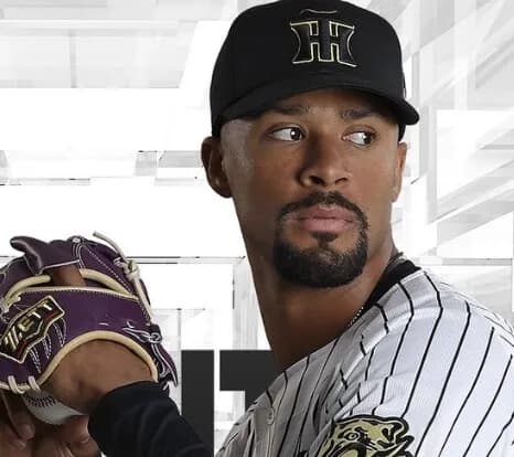 デュプランティエ、2回を投げてすでに49球