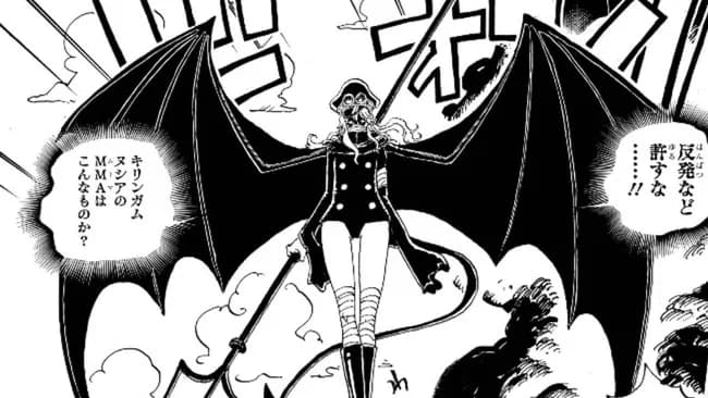 ワンピースさん、悪魔と魔法バトルする別の漫画になる