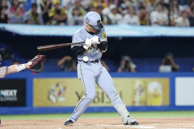 阪神・坂本誠志郎が珍しく怒りあらわ　木沢尚文の厳しい内角攻めで死球　にらみつける