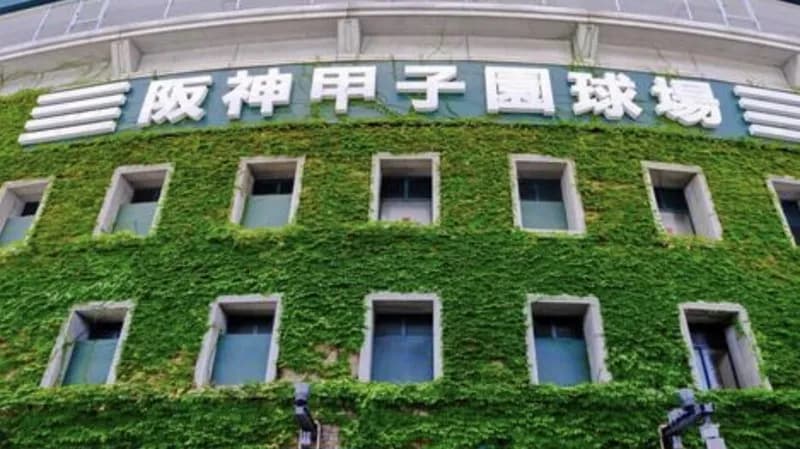 7月の阪神の平均得失点数、ガチで圧倒的だった