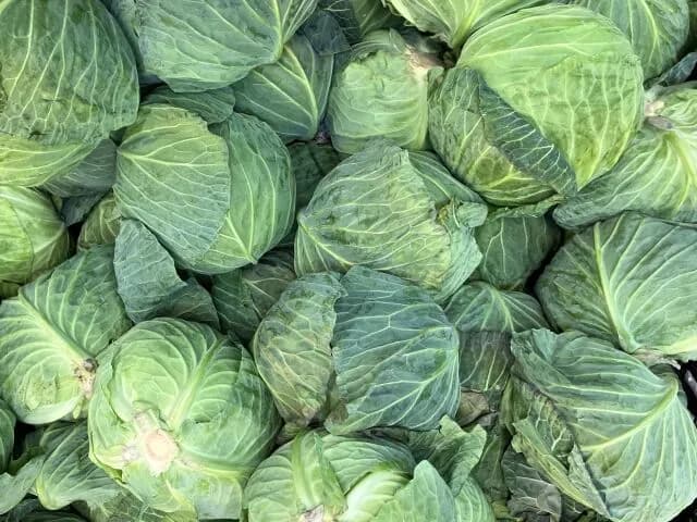 大量のキャベツ美味しく処分するにはお好み焼きしかない
