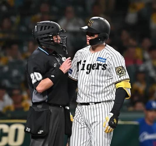 阪神森下が球審白井と一触即発　判定不服であわや　距離詰める２人をコーチが仲裁