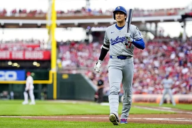 【悲報】大谷翔平さん、また騙される。ハワイの別荘いまだ建築開始されず