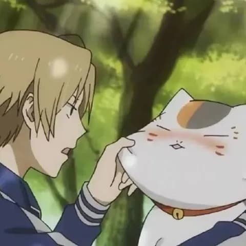 夏目友人帳とかいう少女漫画なのに女の子が可愛いアニメ