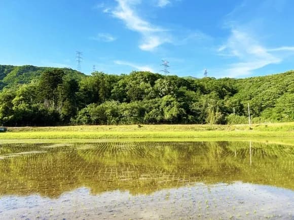 【悲報】農家「卸業者は溜め込んで値段釣り上げるのやめろ！農家が叩かれてるだろ！」←何でこれ言わないの・・・？