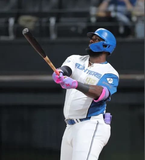 【日本ハム】レイエスが２年連続２桁ＨＲ到達！