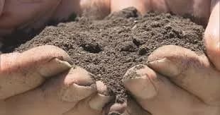 甲子園の土って持ち帰ってどうするん