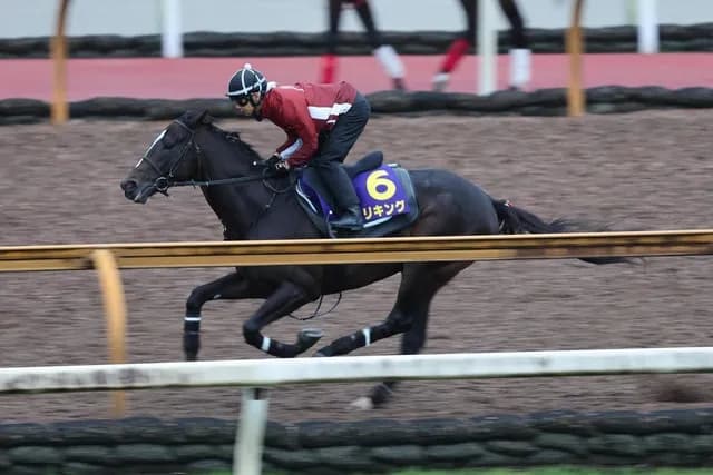 【菊花賞】 エリキング2番人気なんや… 2倍台後半だと思ってた