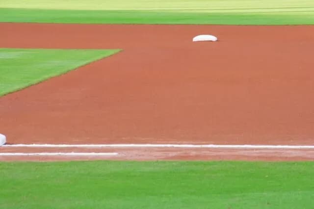 DHの他に打ったバッターの代わりに走るDR制度を導入すれば面白そうじゃね