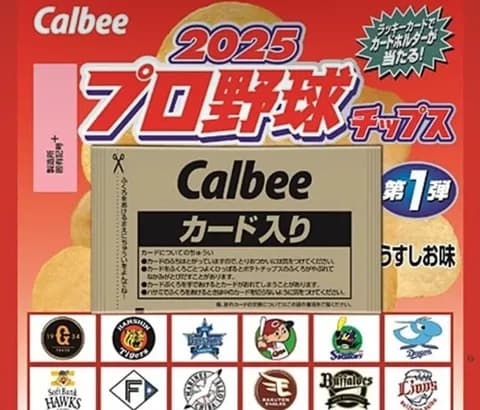【悲報】プロ野球チップス逝く