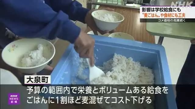 給食の米、"麦"を混ぜて増量ｗｗｗｗｗｗｗｗｗｗ