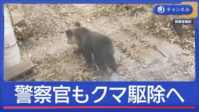 【速報】警察、クマさん射殺が可能になる！！！