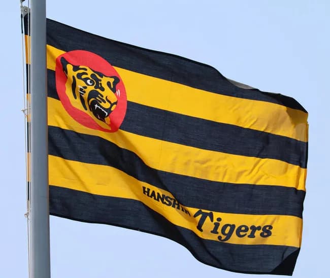 阪神、2軍の主催試合の入場者数が20万人を突破！　鳴尾浜からSGLへ本拠地移転１年目