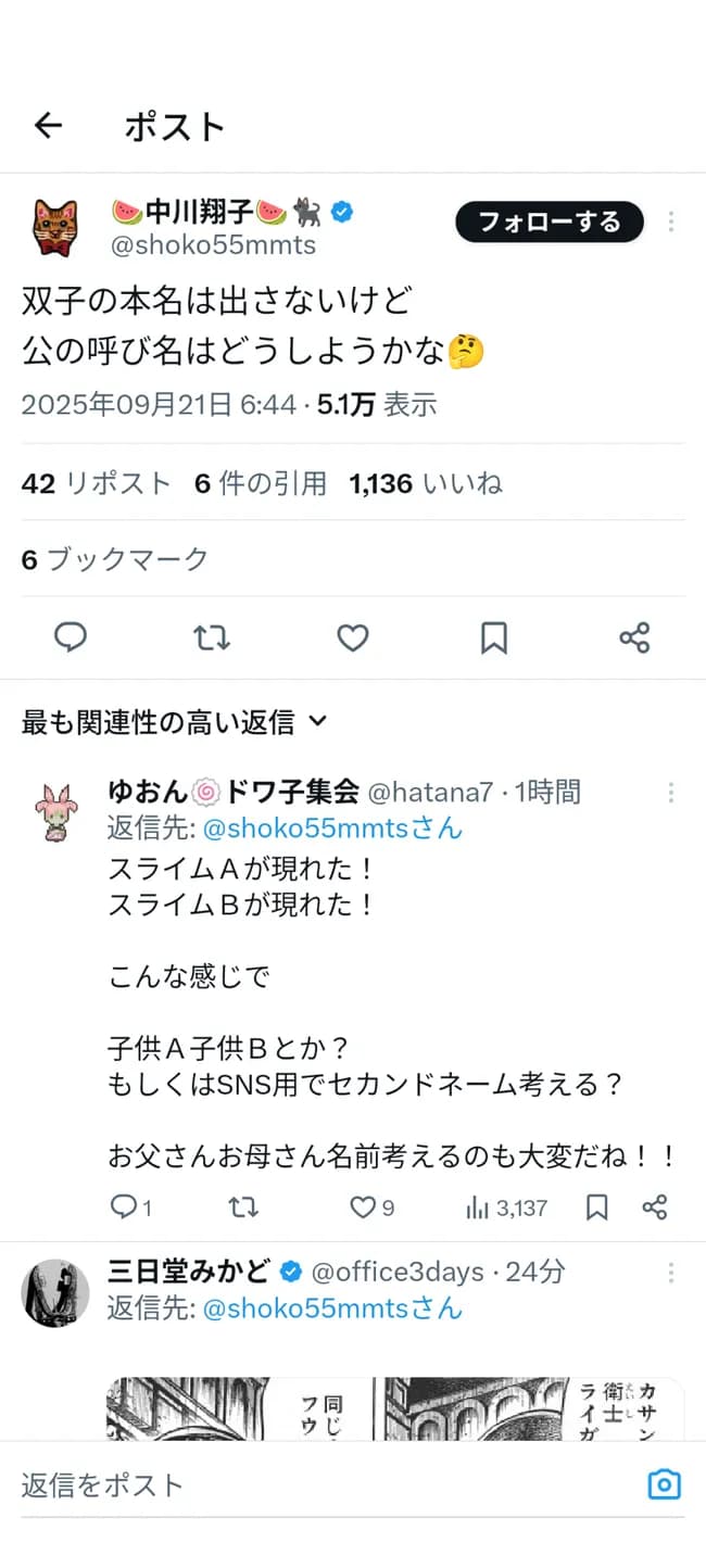 中川翔子「双子の名前は教えません」