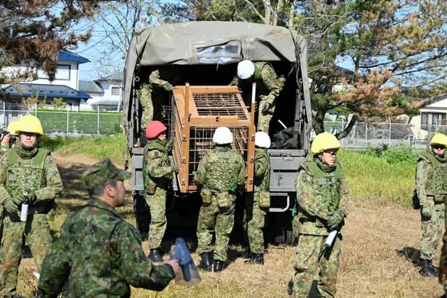 【朗報】自衛隊、クマ退治に参戦決定
