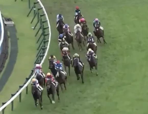 【動画】中央競馬で乱闘ｗｗｗｗｗｗｗｗｗｗｗｗｗｗｗｗ
