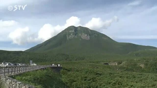 【悲報】北海道羅臼岳で「友人がヒグマに襲われた」と通報、友人は引っ張られて姿が見えなくなる