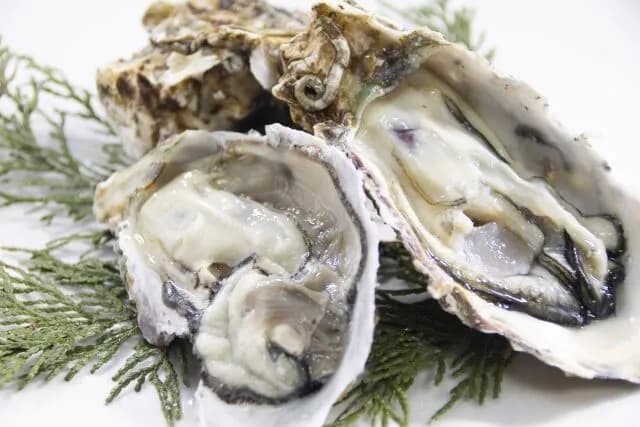 おまえらが今まで食べたもので1番美味かったもの書いてけ